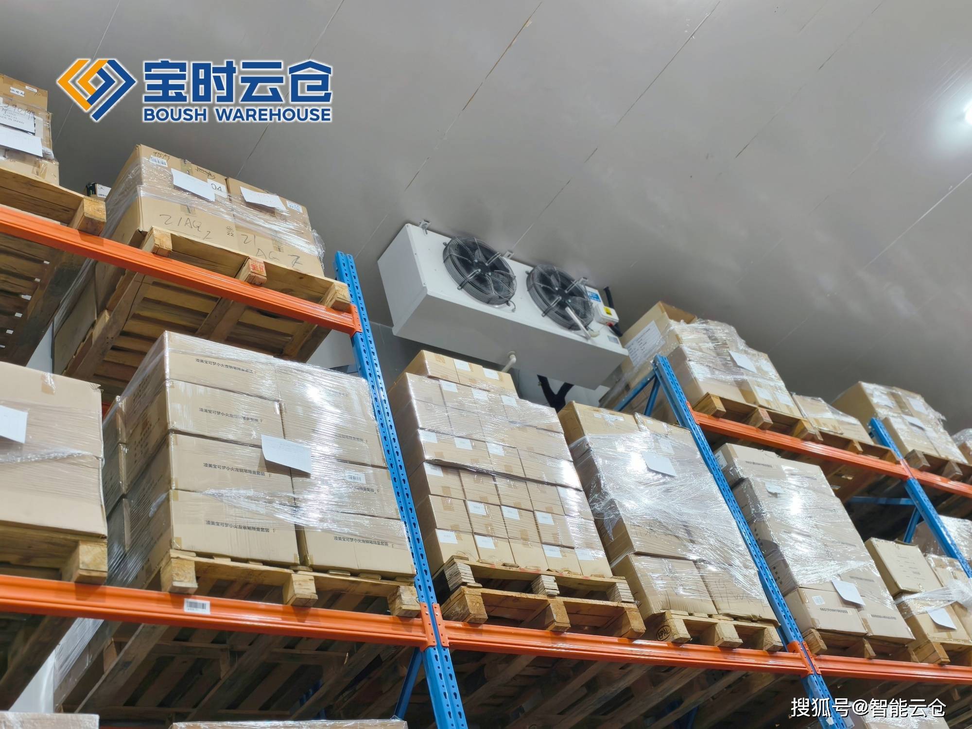 嘉义市领先物流品牌升级(领先物流服务商是自营物流)