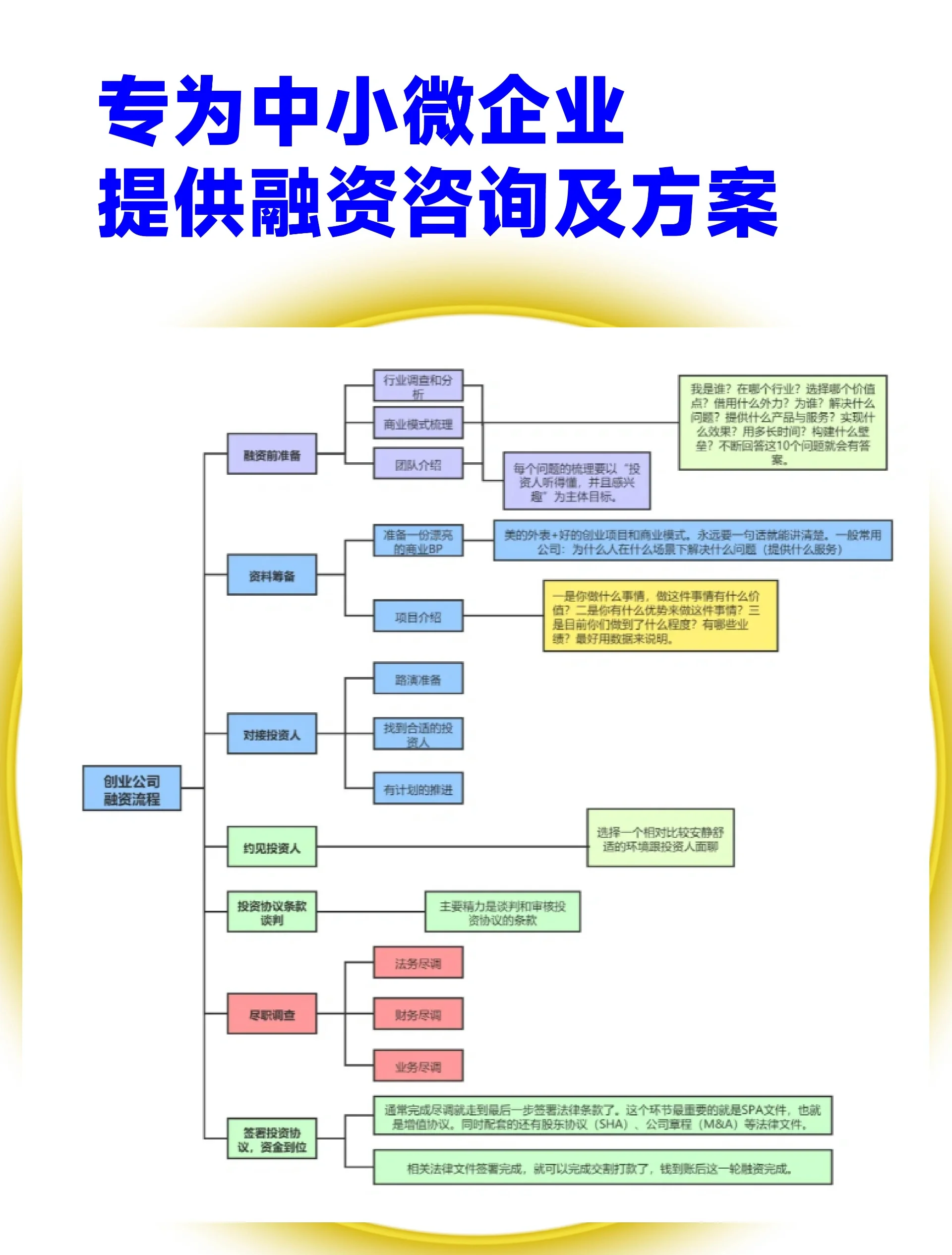 嘉义市宠物企业资金管理(宠物管理机构叫什么)