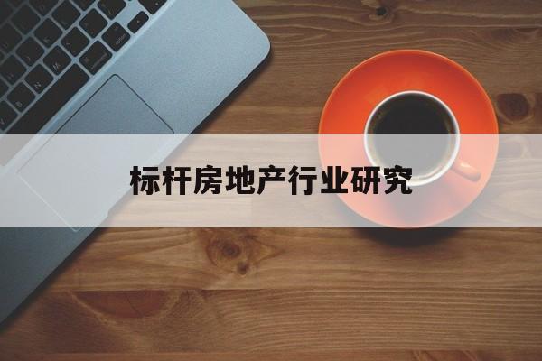 嘉义市标杆房地产行业研究(房地产领域的标杆人物)