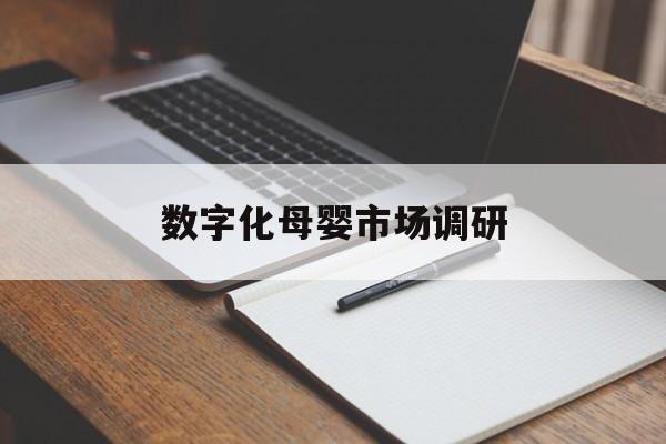 嘉义市数字化母婴市场调研(数字化母婴市场调研报告)