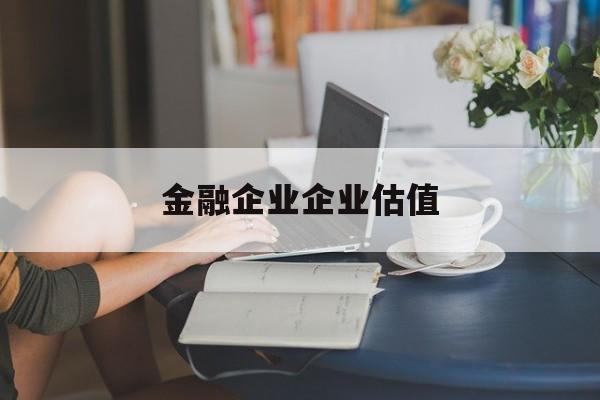 嘉义市金融企业企业估值(最新企业估值怎么填)